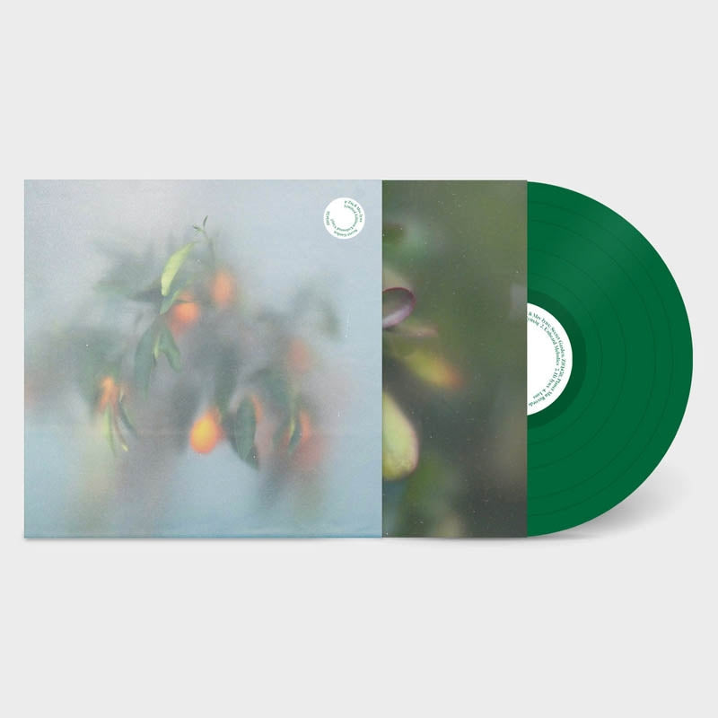 |  Vinyl LP | U-Ziq & Mrs Jynx - Secret Garden (LP) | Records on Vinyl