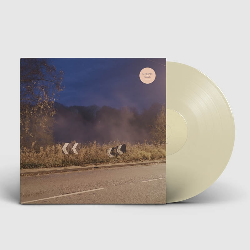 |  Vinyl LP | Lee Gamble - Models (LP) | Records on Vinyl