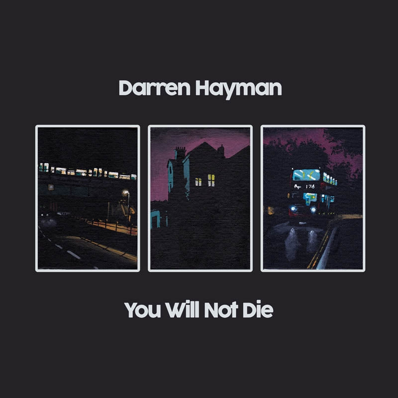 |  Vinyl LP | Darren Hayman - You Will Not Die (2 LPs) | Records on Vinyl