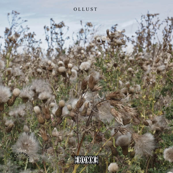 |  Vinyl LP | Broads & Milly Hirst - Ollust (LP) | Records on Vinyl