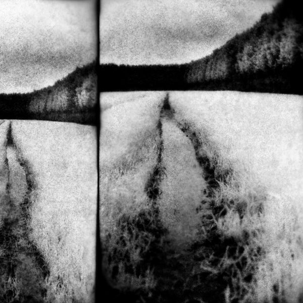 Tenebrous Liar - Cut |  Vinyl LP | Tenebrous Liar - Cut (LP) | Records on Vinyl