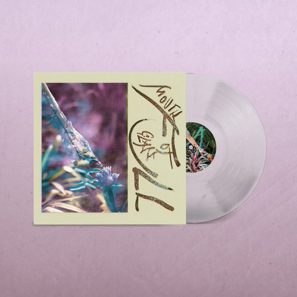 |  Vinyl LP | Macie Stewart - Mouth Full of Glass (LP) | Records on Vinyl