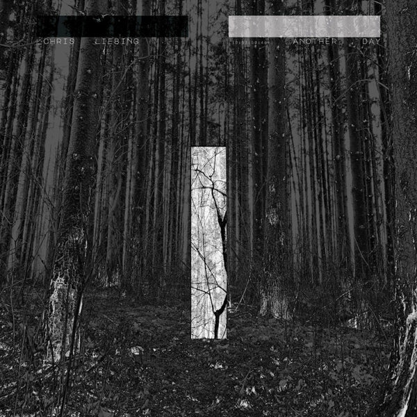 |  Vinyl LP | Chris Liebing - Another Day (2 LPs) | Records on Vinyl