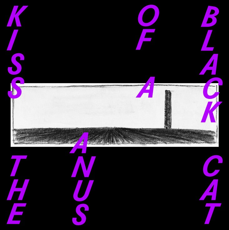 Kiss The Anus Of A Black - If The Sky Falls We.. |  Vinyl LP | Kiss the Anus of a Black - If the Sky Falls, We Shall Catch Larks (LP) | Records on Vinyl