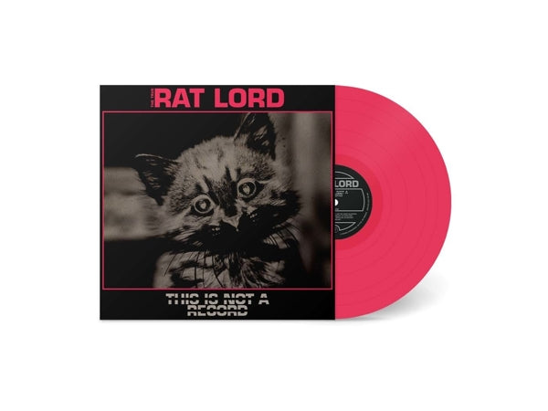 |  Vinyl LP | Rat Lord - This is Not a Record (LP) | Records on Vinyl