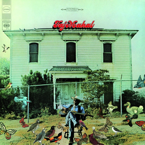|  Vinyl LP | Taj Mahal - Taj Mahal (LP) | Records on Vinyl