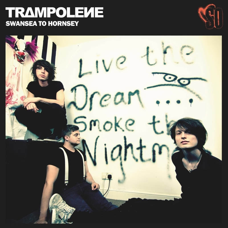 |  Vinyl LP | Trampolene - Swansea To Hornsey (LP) | Records on Vinyl