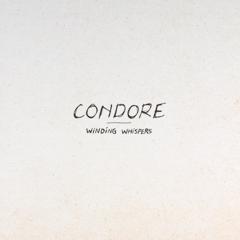 |  Vinyl LP | Condore - Winding Whispers (LP) | Records on Vinyl