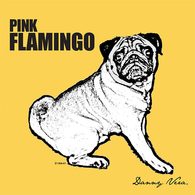 | Vinyl LP | Danny Vera - Pink Flamingo (LP) | Records on Vinyl