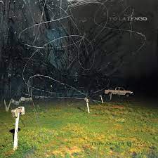 |  Vinyl LP | Yo La Tengo - This Stupid World (2 LPs) | Records on Vinyl