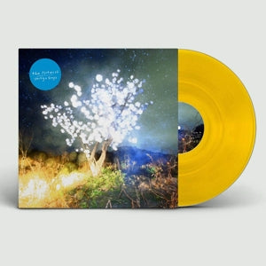 |  Vinyl LP | Notwist - Vertigo Days (2 LPs) | Records on Vinyl