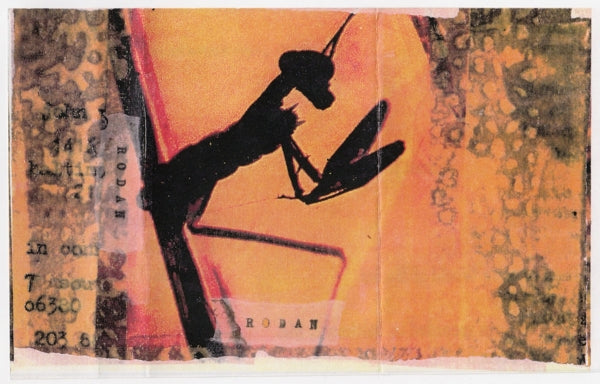  |  Vinyl LP | Rodan - Hat Factory '93 (LP) | Records on Vinyl