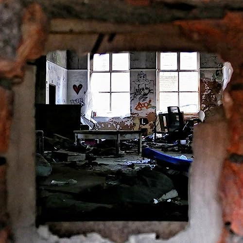 Fatboi Sharif - Decay (LP) Cover Arts and Media | Records on Vinyl