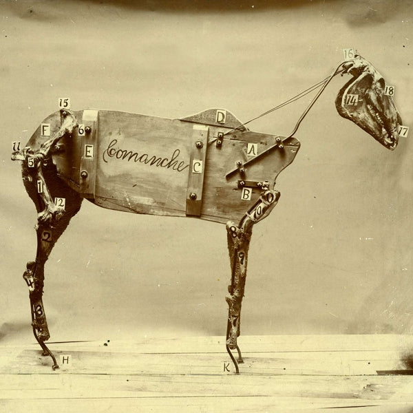  |   | Chadwick Stokes - Horse Comanche (LP) | Records on Vinyl