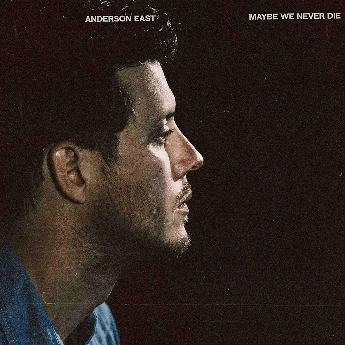  |   | Anderson East - Maybe We Never Die (LP) | Records on Vinyl