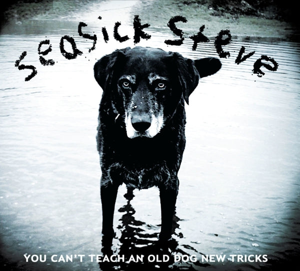  |   | Seasick Steve - You Can't Teach an Old Dog New Trick (LP) | Records on Vinyl