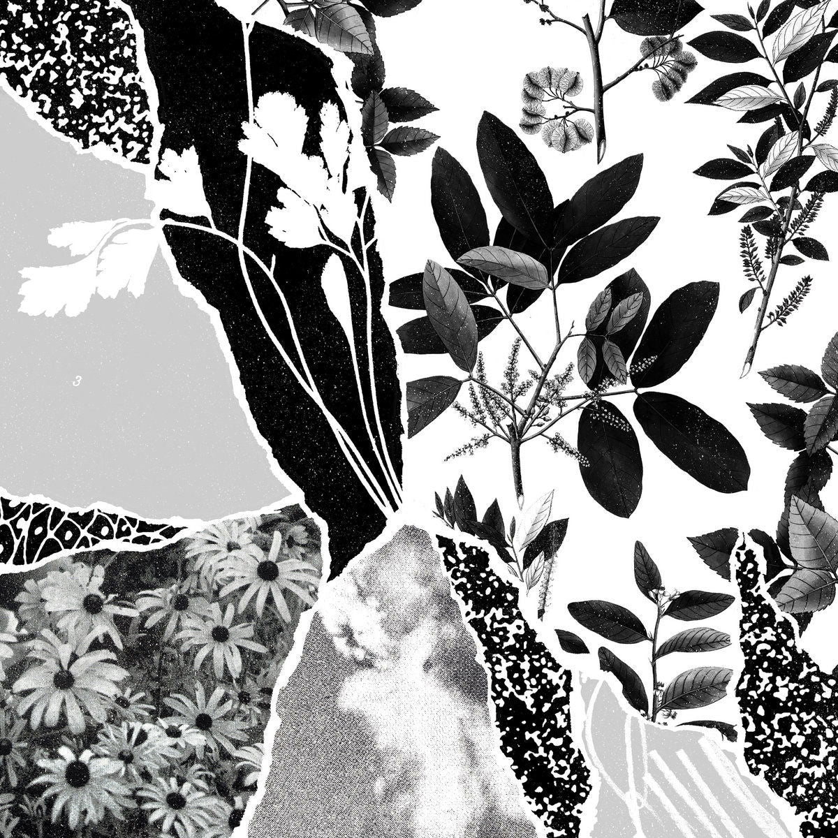 Ponctuation - Mon Herbier Du Monde Entier (LP) Cover Arts and Media | Records on Vinyl