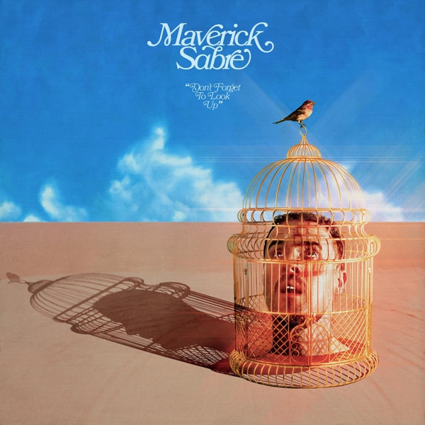  |   | Maverick Sabre - Don't Forget To Look Up (2 LPs) | Records on Vinyl