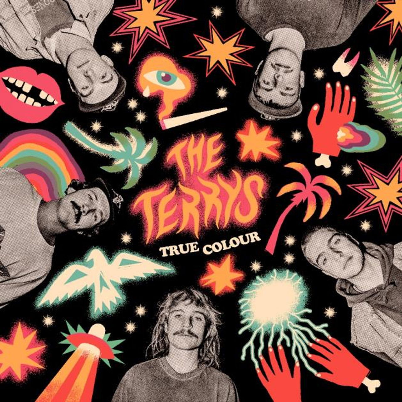  |   | Terrys - True Colour (LP) | Records on Vinyl