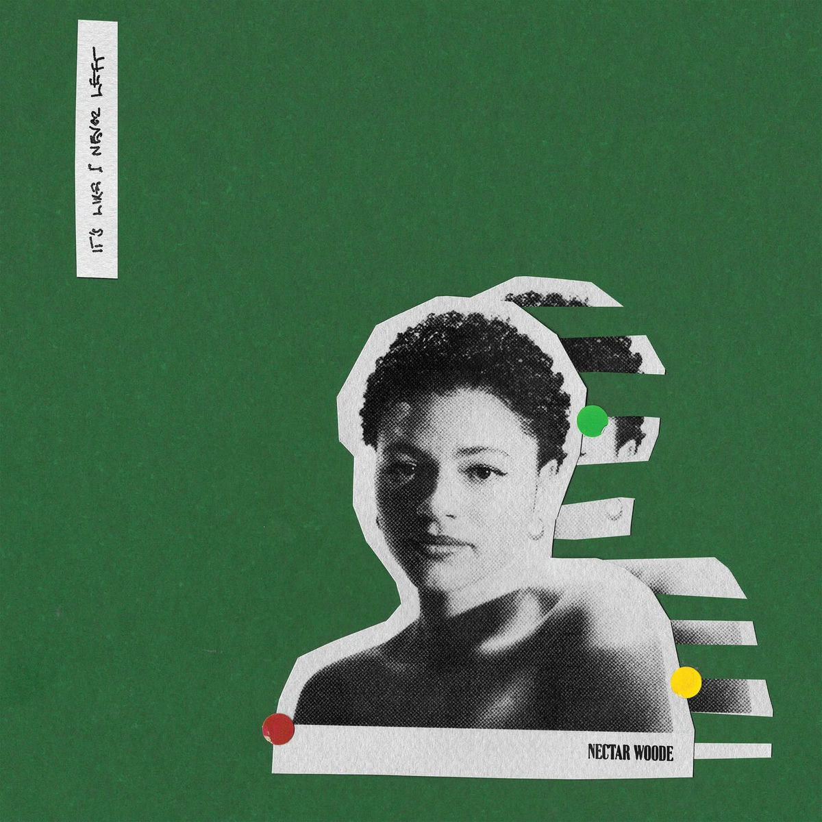 Nectar Woode - It's Like I Never Left (LP) Cover Arts and Media | Records on Vinyl