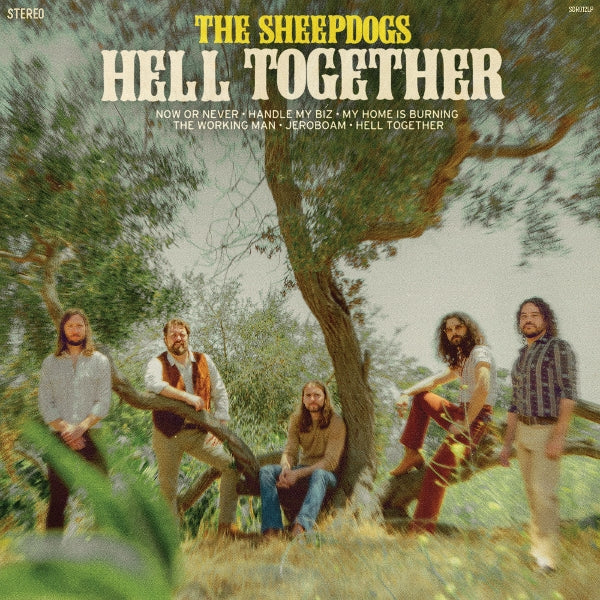  |  Vinyl LP | Sheepdogs - Hell Together (LP) | Records on Vinyl