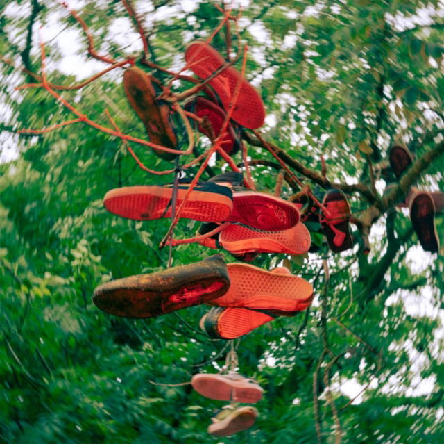 Mees Javois - Leaving (Single) Cover Arts and Media | Records on Vinyl