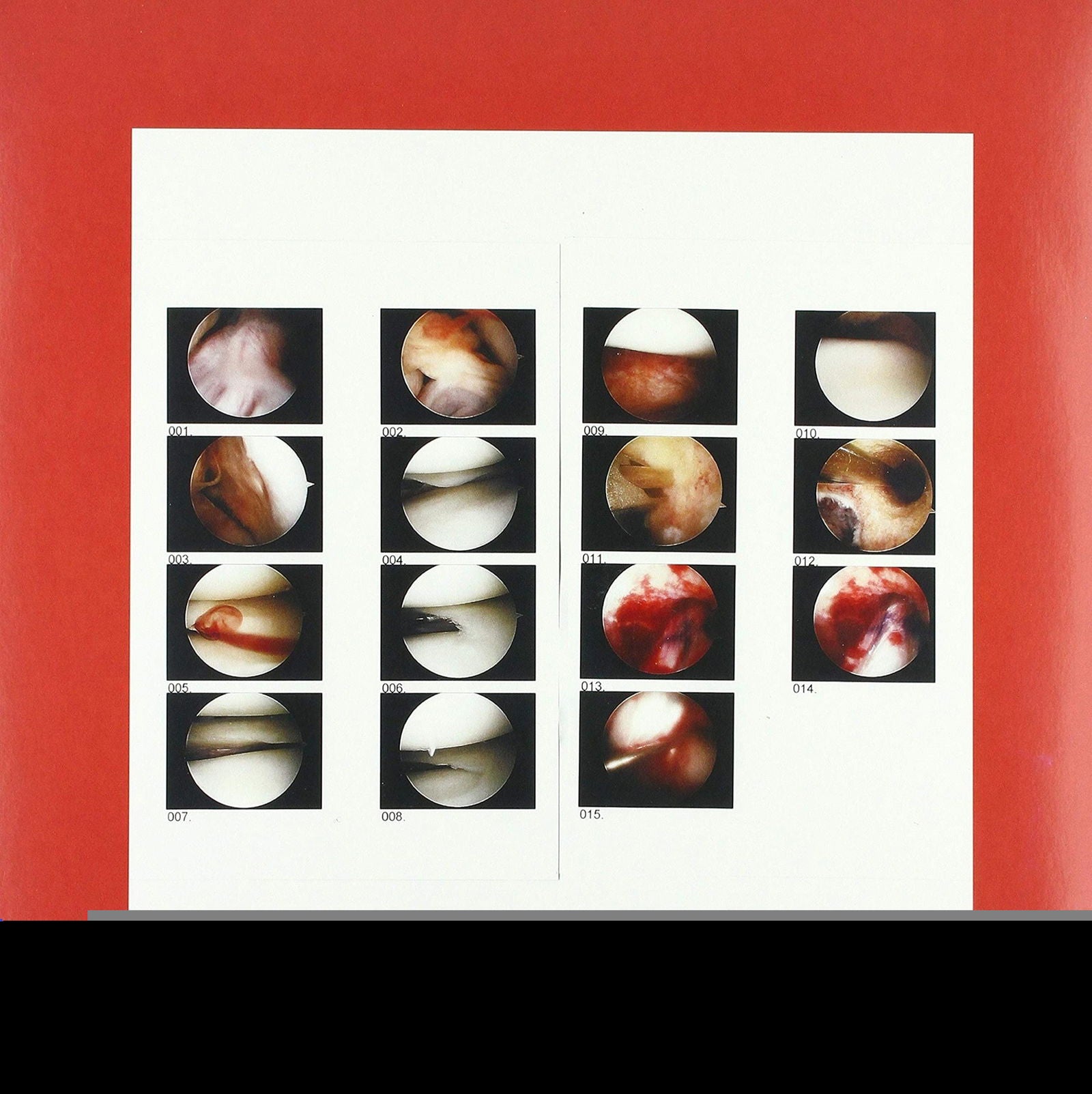 Cradle - Laughing In My Sleep (LP) Cover Arts and Media | Records on Vinyl