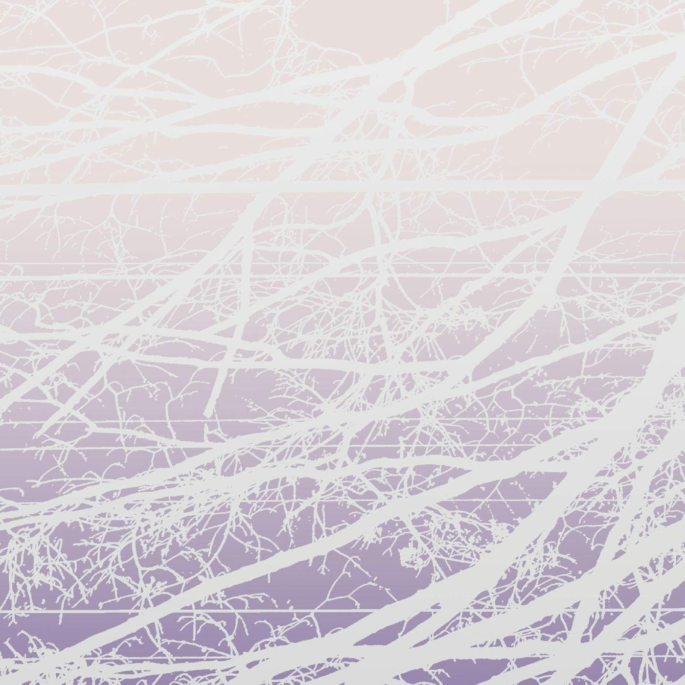  |   | Lea Bertucci - Metal Aether / Resonant Field (2 LPs) | Records on Vinyl