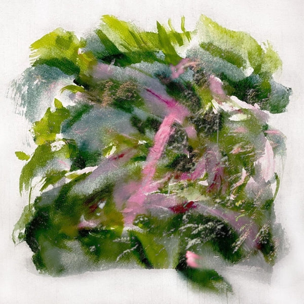  |  Vinyl LP | Mizu - Forest Scenes (LP) | Records on Vinyl