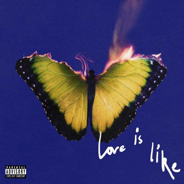  |  Vinyl LP | Maroon 5 - Love is Like (2 LPs) | Records on Vinyl