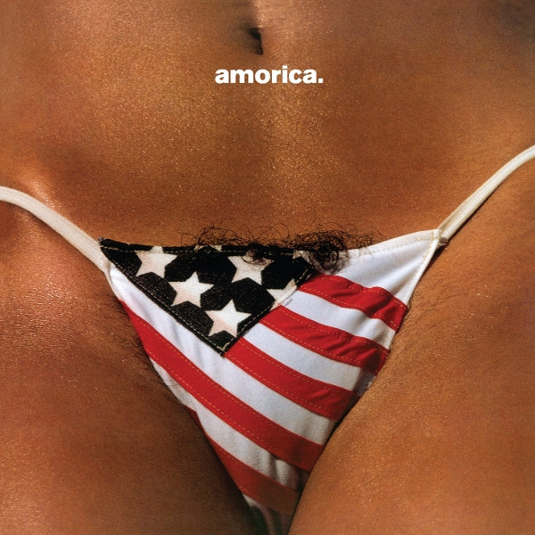  |  Vinyl LP | Black Crowes - Amorica (4 LPs) | Records on Vinyl