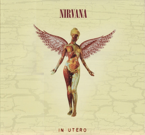  |   | Nirvana - In Utero -20th Anniversary (3 LPs) | Records on Vinyl