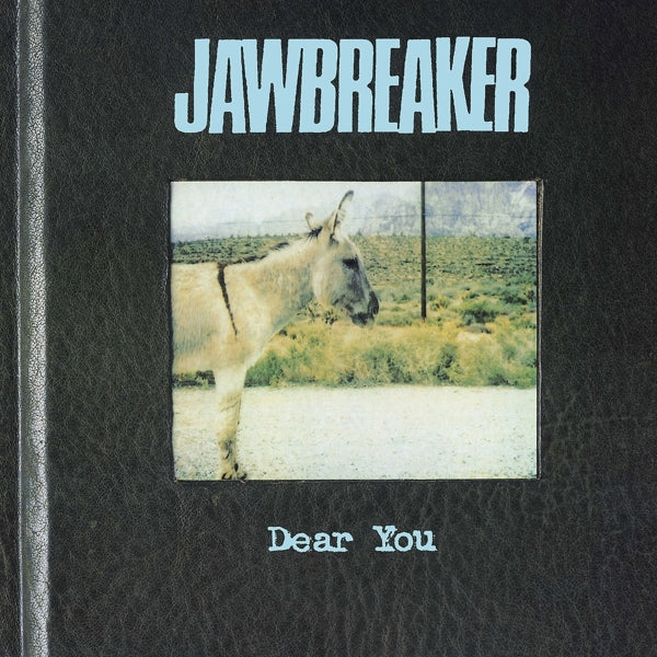  |  Vinyl LP | Jawbreaker - Dear You (LP) | Records on Vinyl