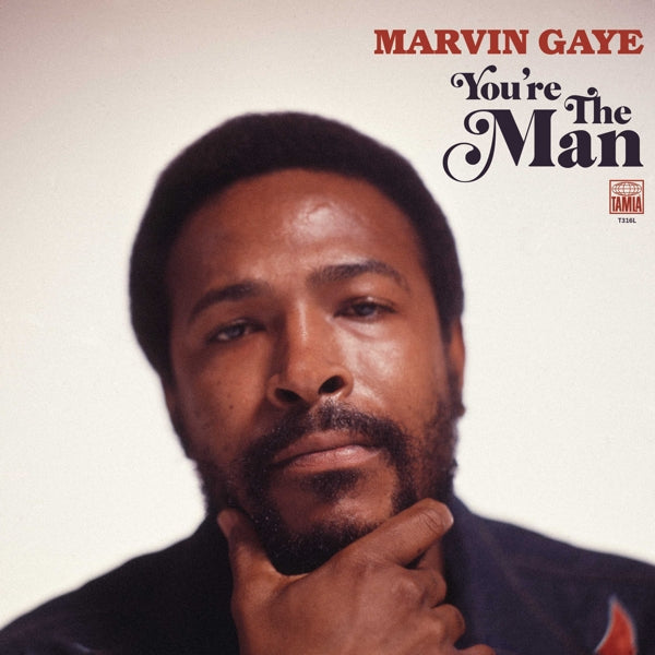  |   | Marvin Gaye - You're the Man (2 LPs) | Records on Vinyl