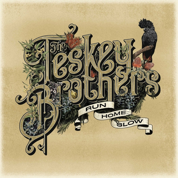  |   | Teskey Brothers - Run Home Slow (LP) | Records on Vinyl