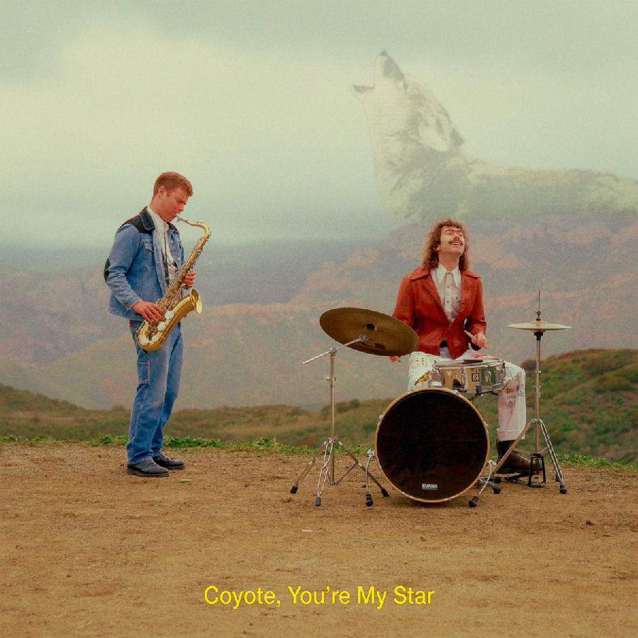  |  Vinyl LP | Dana & Alden - Coyote, You Re My Star (LP) | Records on Vinyl