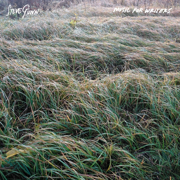  |  Vinyl LP | Steve Gunn - Music For Writers (LP) | Records on Vinyl