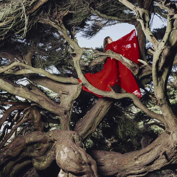  |  Vinyl LP | Hannah Frances - Nested In Tangles (LP) | Records on Vinyl