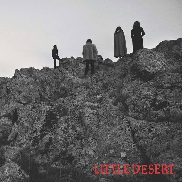 Little Desert - Ashes (Single) Cover Arts and Media | Records on Vinyl
