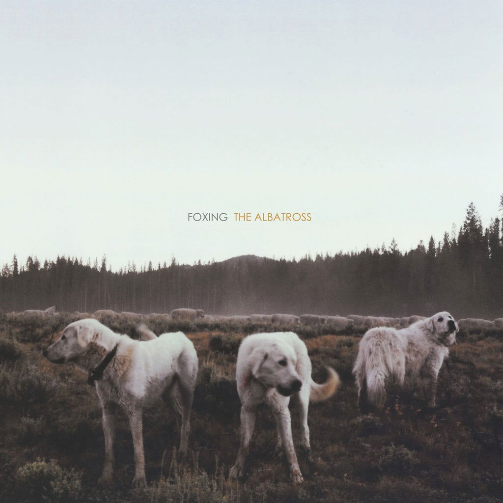 Foxing - The Albatross (LP) Cover Arts and Media | Records on Vinyl