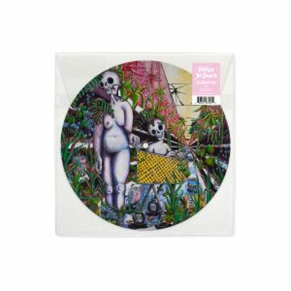  |   | Indigo De Souza - Any Shape You Take (LP) | Records on Vinyl