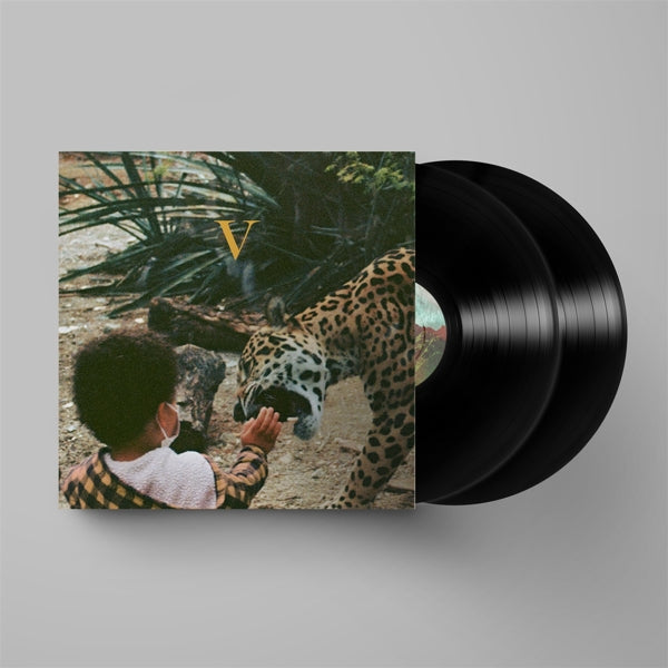  |   | Unknown Mortal Orchestra - V (2 LPs) | Records on Vinyl