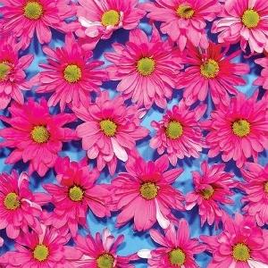 the Austerity Program - Black Madonna (LP) Cover Arts and Media | Records on Vinyl