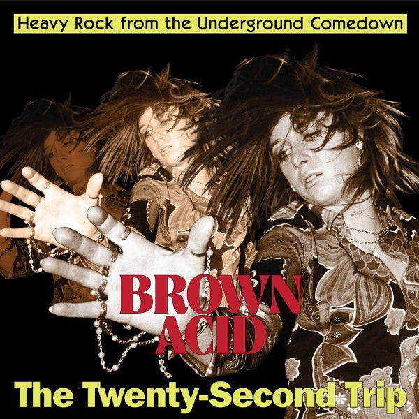  |  Vinyl LP | V/A - Brown Acid: the 22 Trip (LP) | Records on Vinyl