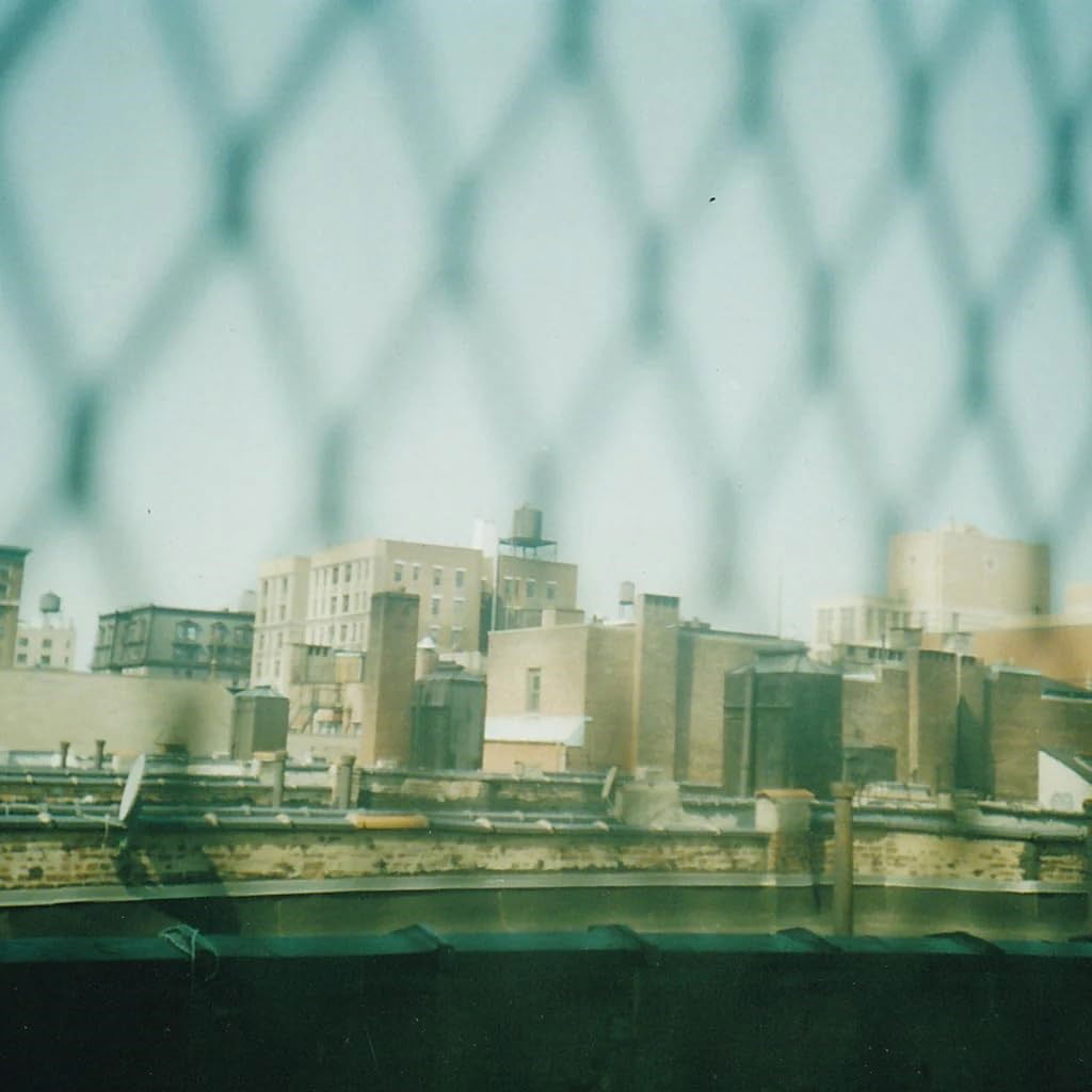 Shrapknel - Nobody Planning To Leave (LP) Cover Arts and Media | Records on Vinyl