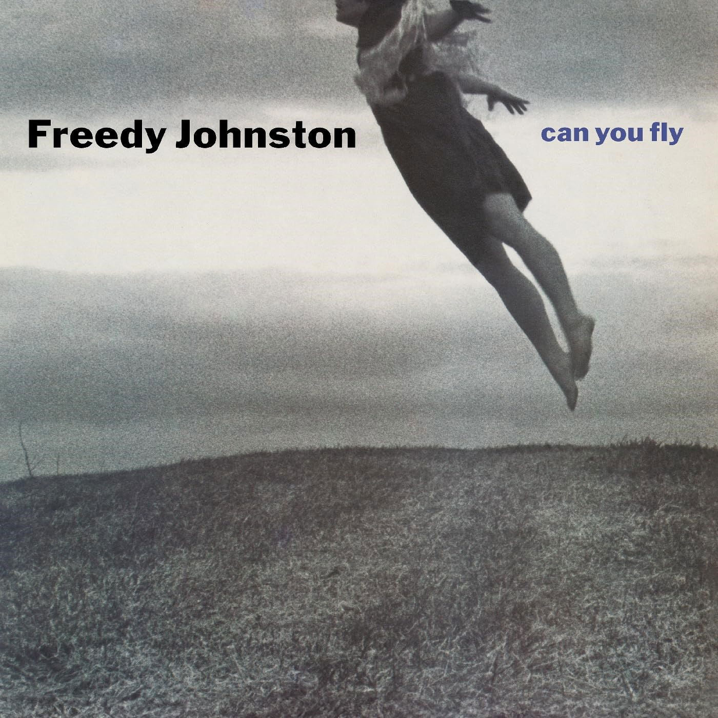 Freedy Johnston - Can You Fly (LP) Cover Arts and Media | Records on Vinyl