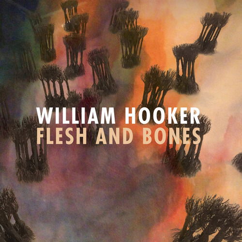 William Hooker - Flesh and Bones (LP) Cover Arts and Media | Records on Vinyl