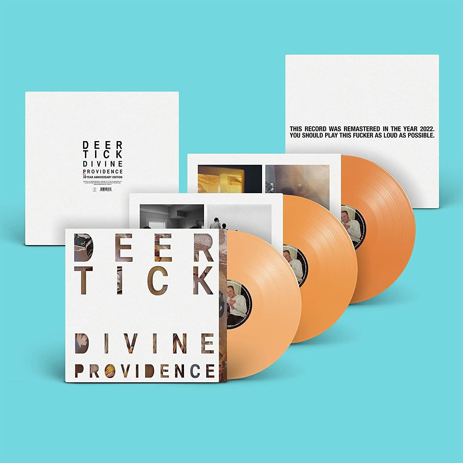 Deer Tick - Divine Providence (3 LPs) Cover Arts and Media | Records on Vinyl