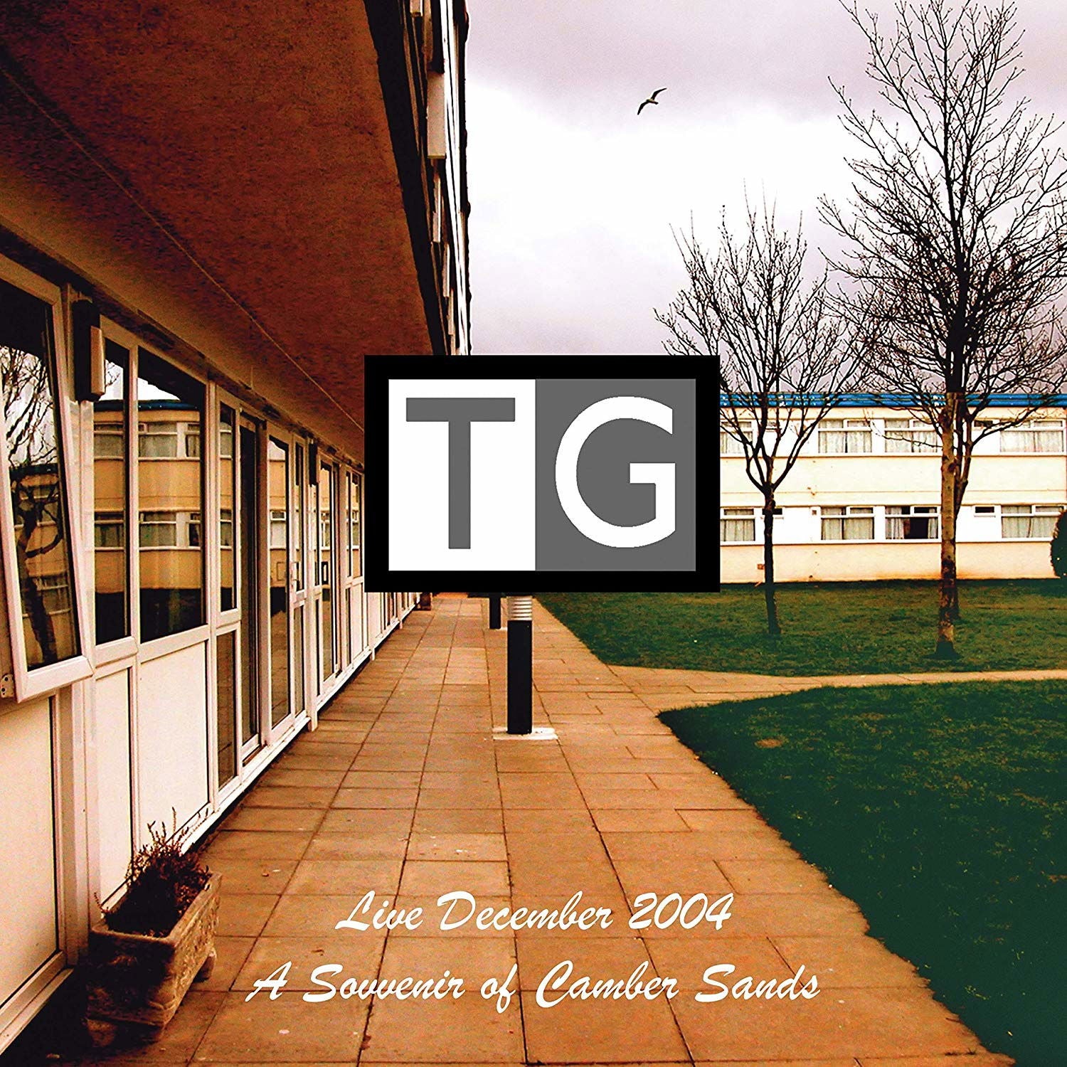 | Vinyl LP | Throbbing Gristle - A Souvenir of Camber Sands: Live (2 LPs) | Records on Vinyl