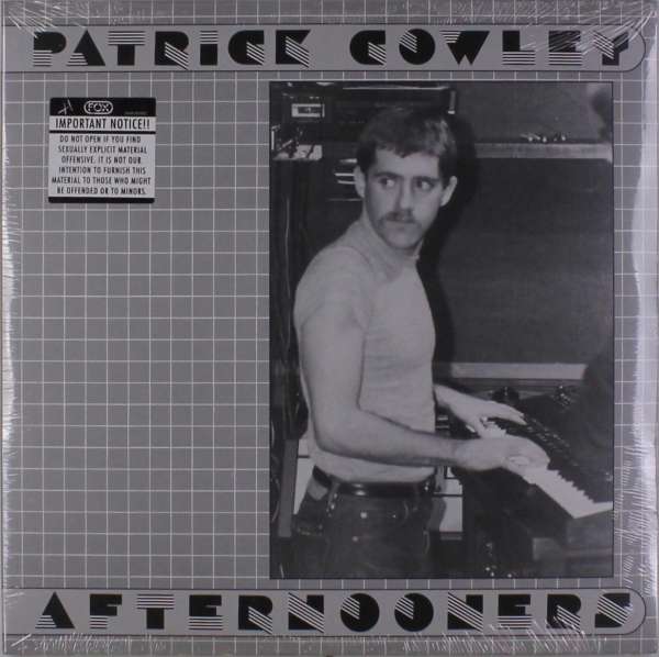  |  Vinyl LP | Patrick Cowley - Afternooners (2 LPs) | Records on Vinyl